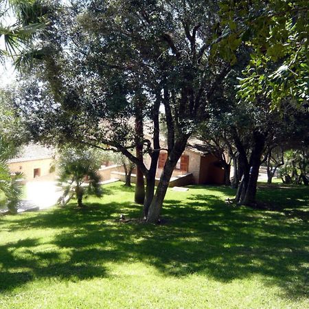Hotel Rural Son Terrassa Cas Concos Pokój zdjęcie